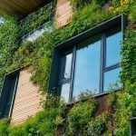 Agriculture urbaine et circuits courts pour une alimentation durable