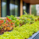 Couvreurs spécialisés en étanchéité et végétalisation des toitures