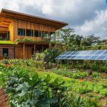 Espèces locales et plants indigènes pour s'adapter au climat