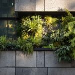 Façades végétales et murs végétalisés : systèmes innovants pour l'environnement