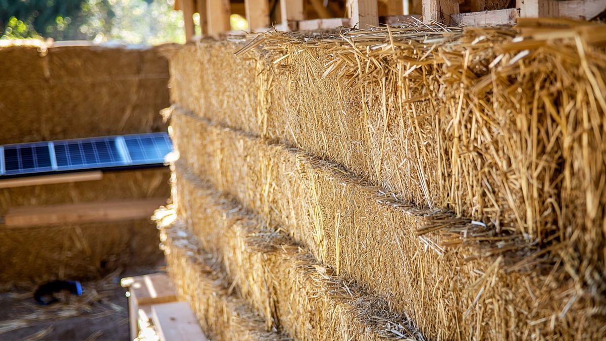 Paille construction : guide sur les bottes densifiées et leur mise en œuvre