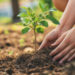 Sensibilisation du grand public à la communication environnementale